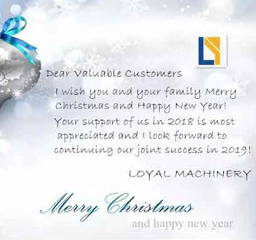 Mutlu noeller ve mutlu yıllar!